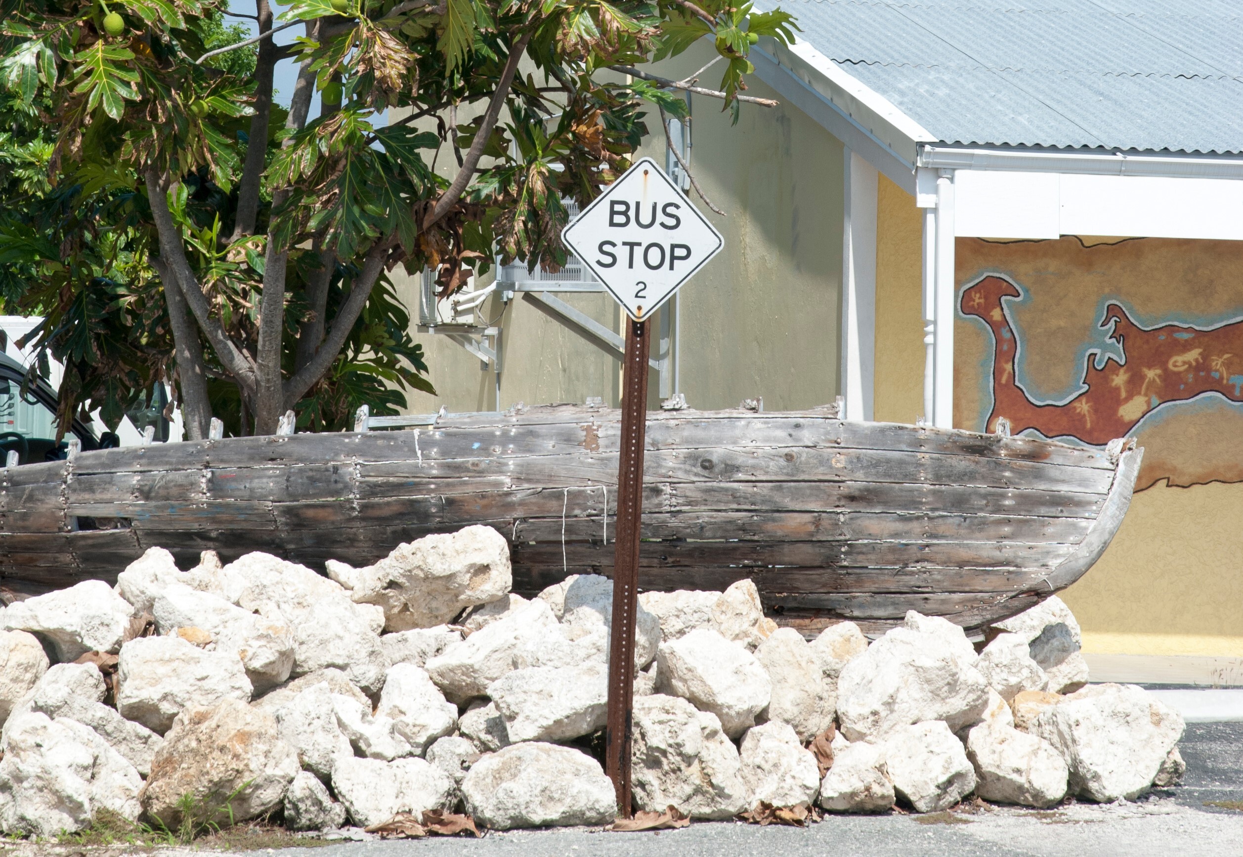 Bus Stop Cat Boat