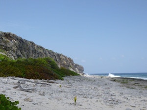 Cayman Brac Bluff from the ground
