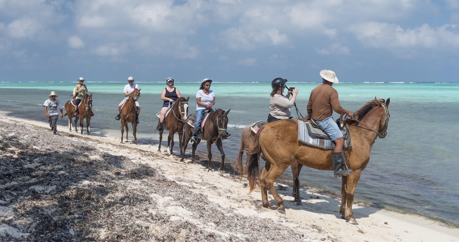 Horseback Riding Beach Cayman