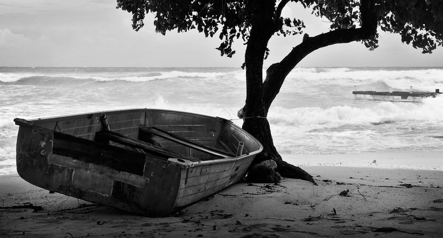 Black and white photo of a row boat on the beach under a tree