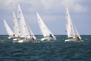 Group of sailing boats out on the open ocean