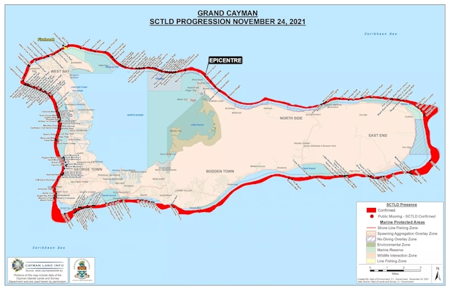 Stony Coral Disease Map Nov 2021