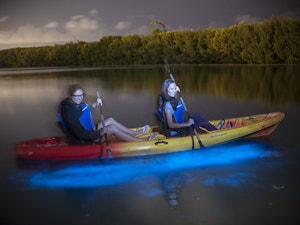Two kayakers paddling through ioluminescence at night
