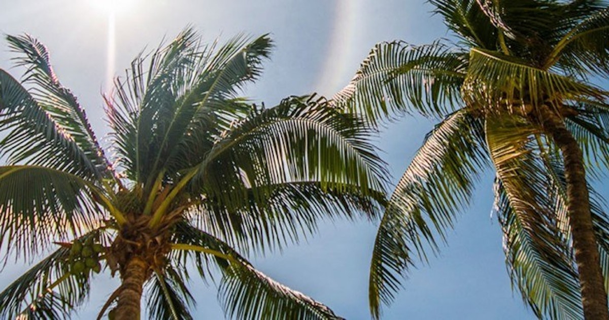 Weather in the Cayman Islands Cayman Resident