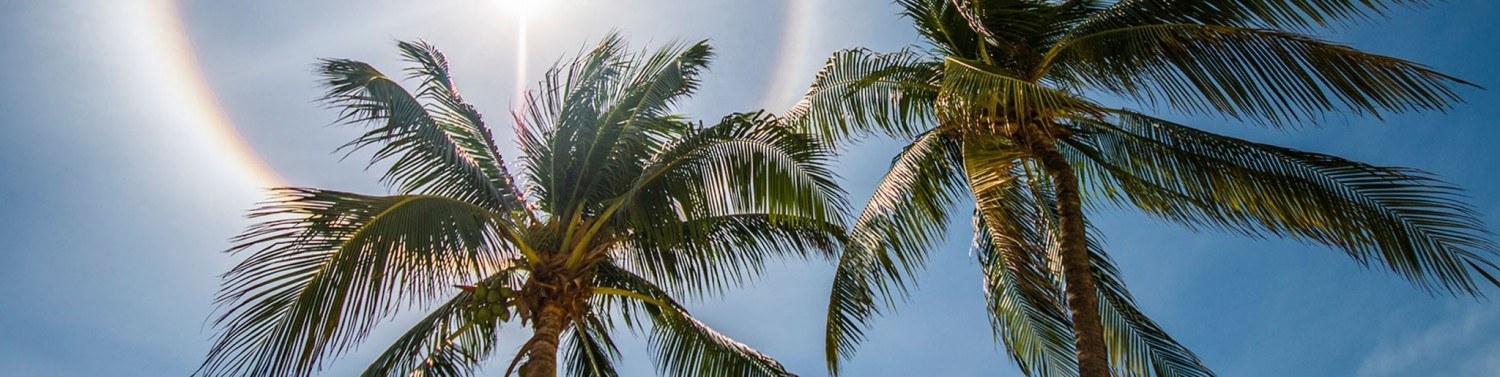 Weather in the Cayman Islands | Cayman Resident