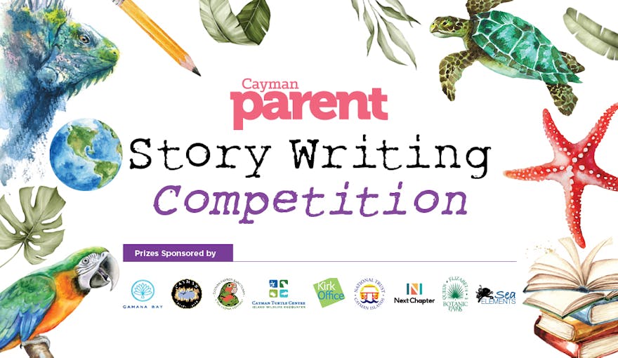 Web Page Header CP Writing Competition 02
