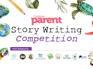 Web Page Header CP Writing Competition 02