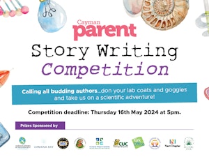 Web Page Header CP Writing Competition 2024