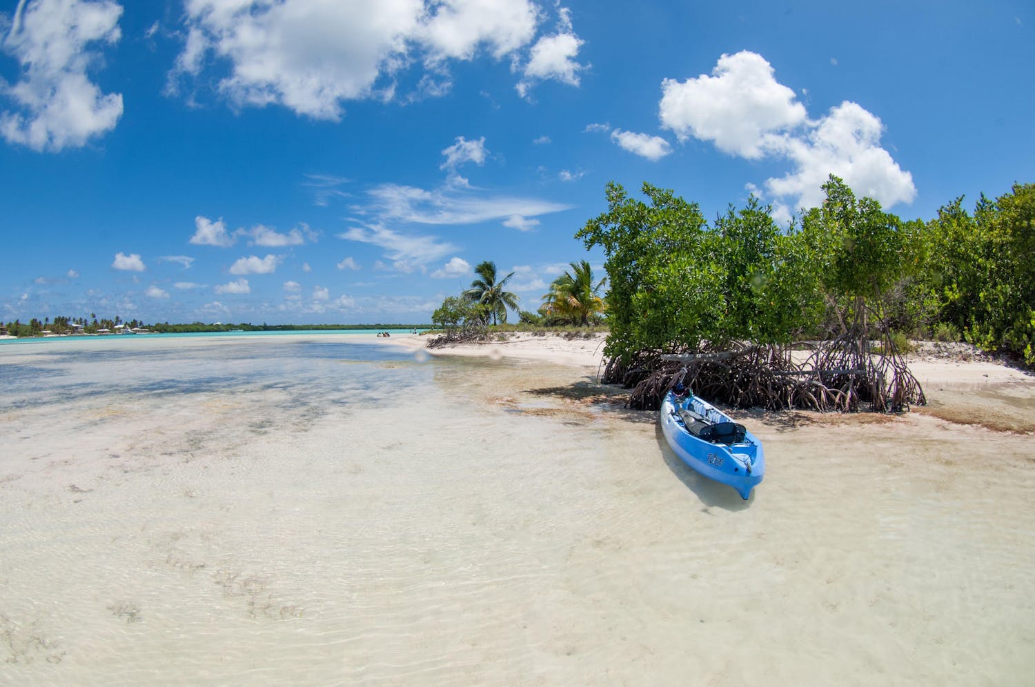 Beachy view of Sand Cay at Little Cayman with a blue kayak