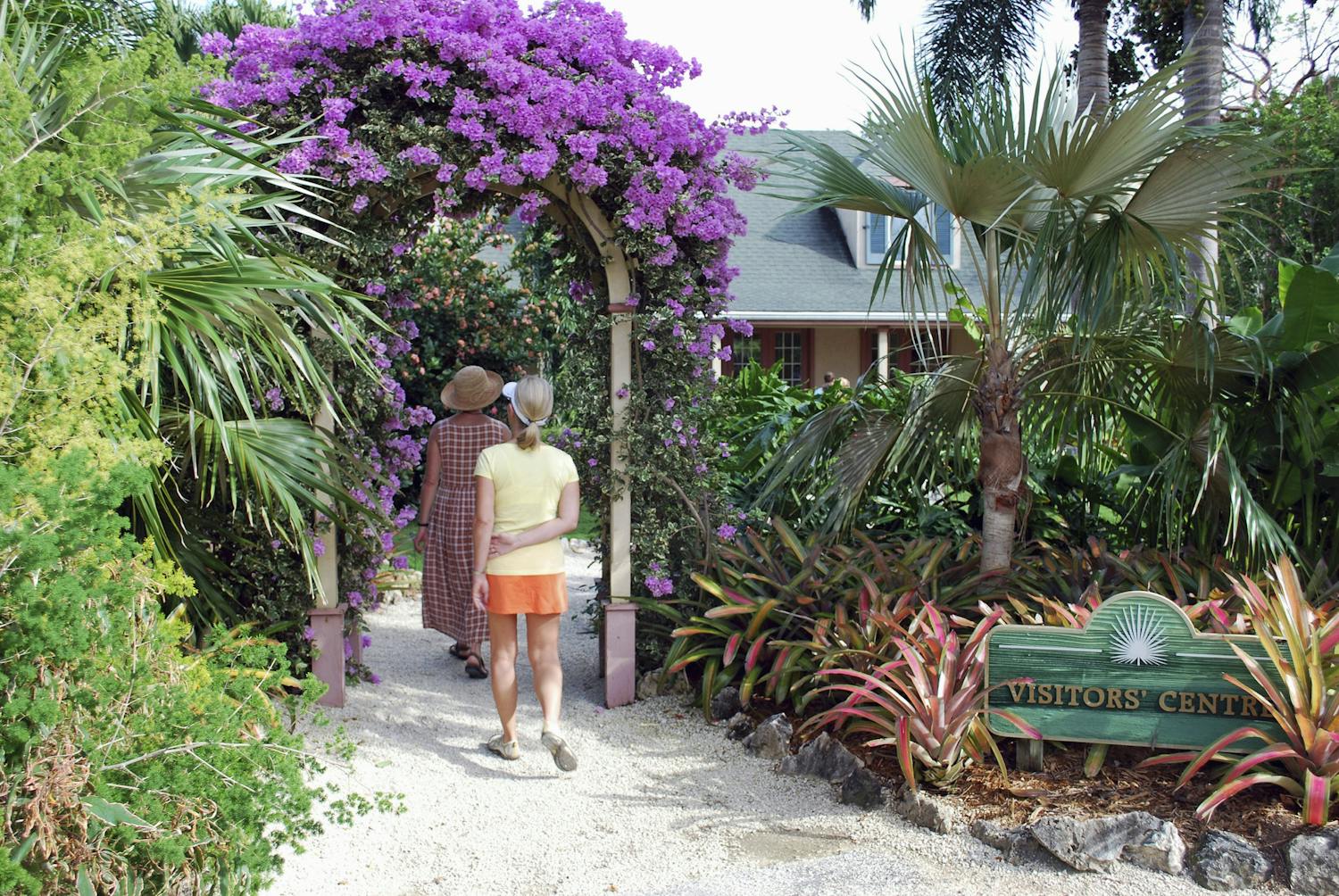 Botanic park cayman