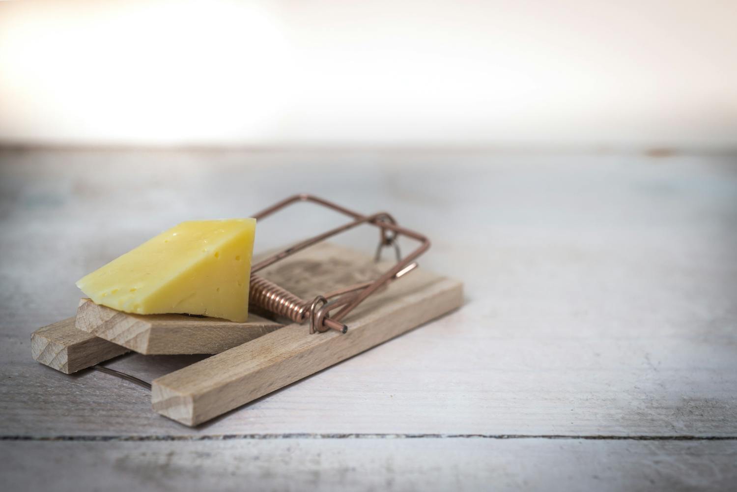 Brown wooden mouse trap with cheese bait on top 633881