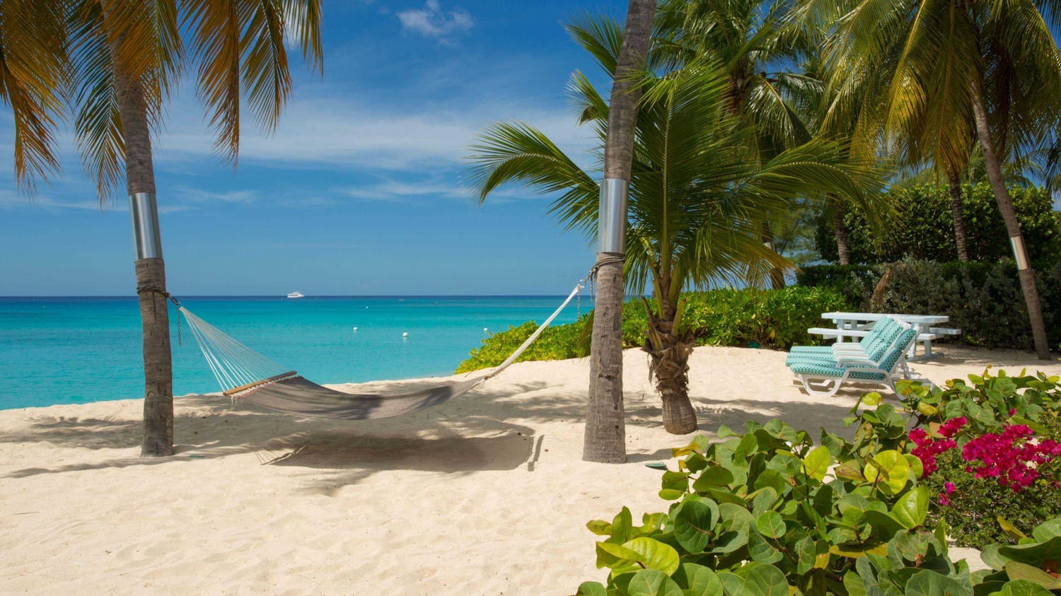 Cayman Islands beach hammock