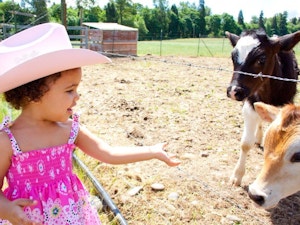 Child at a farm