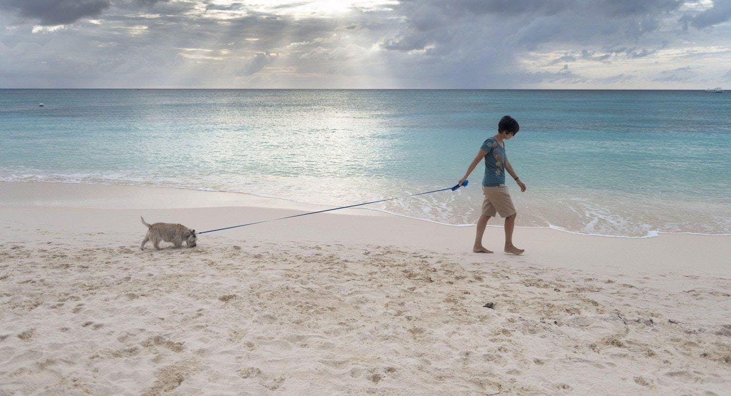 Girl walking foster dog on beach