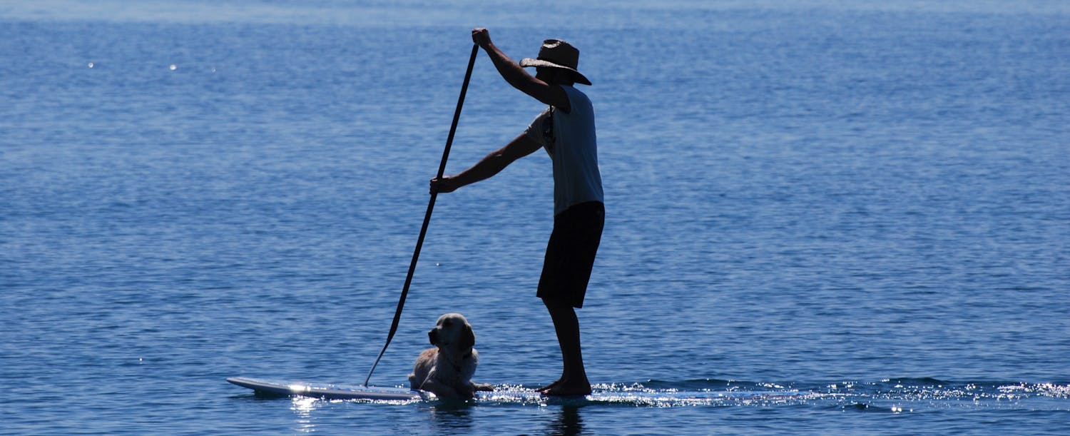 Pet friendly staycations hero image man paddleboarding with dog