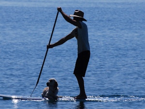 Pet friendly staycations hero image man paddleboarding with dog
