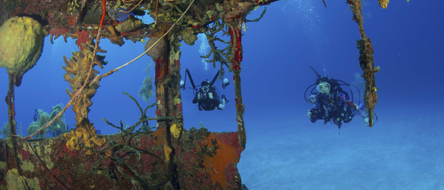 Two divers looking at coral through a shipwreck