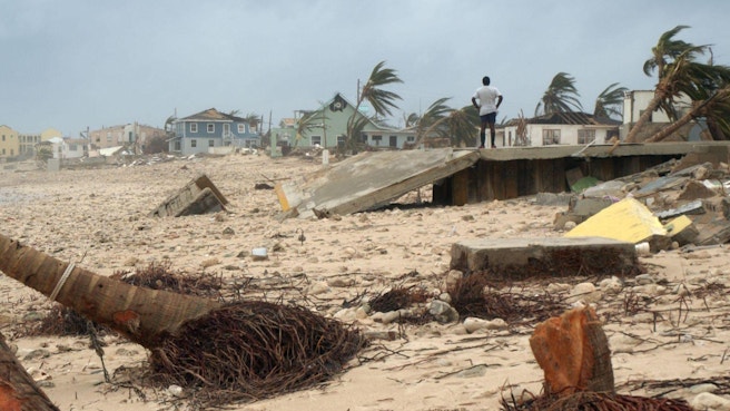 Uprooted trees and stormy seas along the beach from hurricane Ivan
