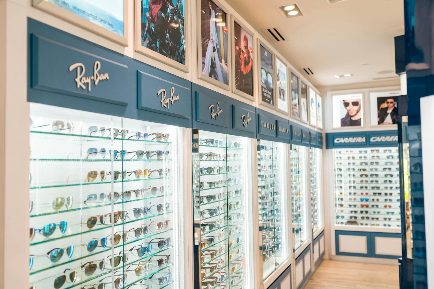 View of luxury brand sunglasses in shop